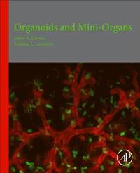 Organoids and Mini-Organs