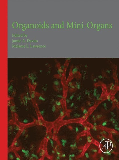 Melanie Lawrence, Jamie A. Davies - Organoids and Mini-Organs, E-bok