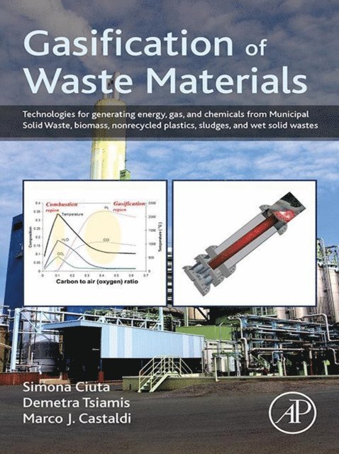 Marco J. Castaldi, Demetra Tsiamis, Simona Ciuta - Gasification of Waste Materials, E-bok