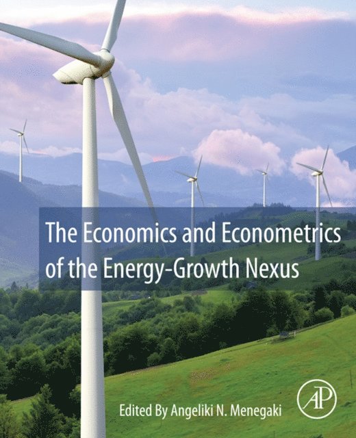 Angeliki Menegaki - Economics and Econometrics of the Energy-Growth Nexus, E-bok