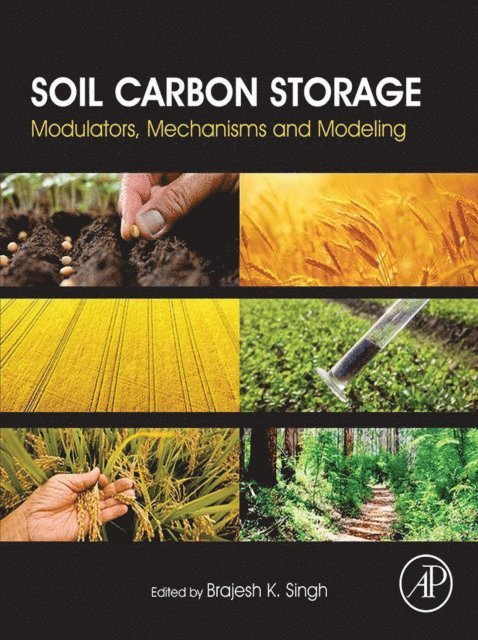 Brajesh Singh - Soil Carbon Storage, E-bok