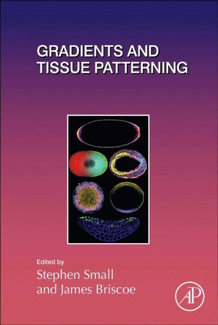Gradients and Tissue Patterning