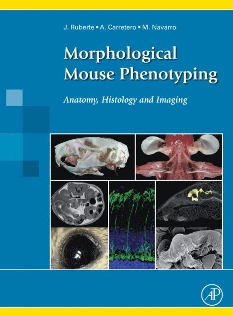 Morphological Mouse Phenotyping