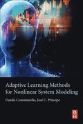 Adaptive Learning Methods for Nonlinear System Modeling