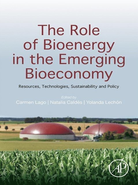 Yolanda Lechon, Natalia Caldes, Carmen Lago - Role of Bioenergy in the Emerging Bioeconomy, E-bok