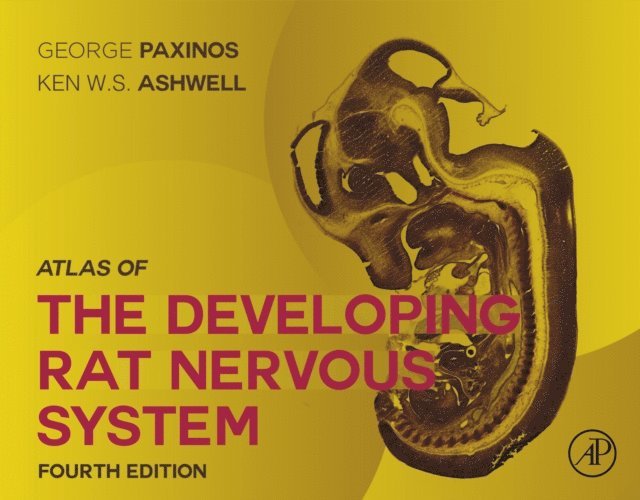 Ken Ashwell, George Paxinos - Atlas of the Developing Rat Nervous System, E-bok