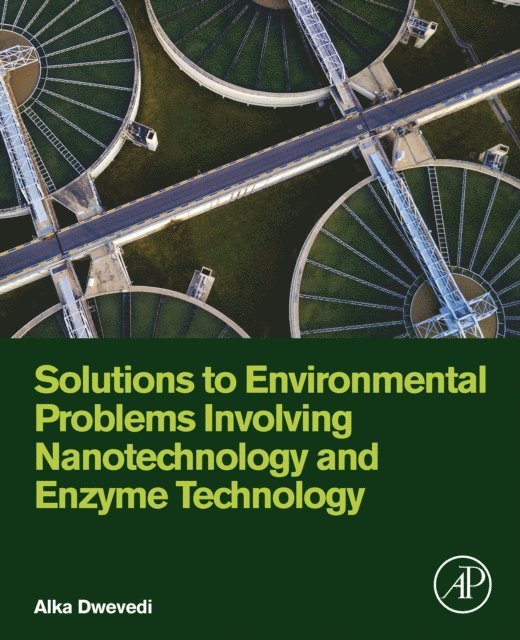 Alka Dwevedi - Solutions to Environmental Problems Involving Nanotechnology and Enzyme Technology, E-bok