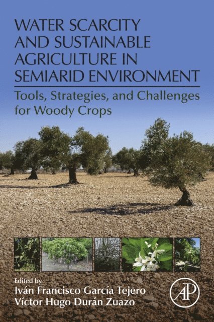 Victor Hugo Duran Zuazo, Ivan Francisco Garcia Tejero - Water Scarcity and Sustainable Agriculture in Semiarid Environment, E-bok