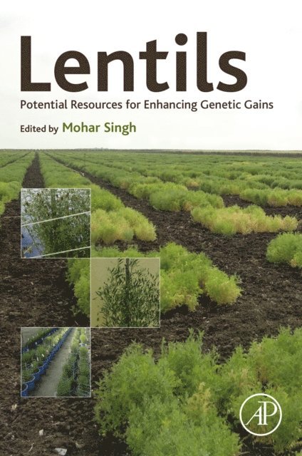 Mohar Singh - Lentils, E-bok