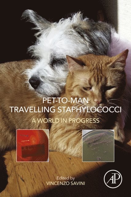 Vincenzo Savini - Pet-to-Man Travelling Staphylococci, E-bok. Tillgänglighet: Lägg i varukorg