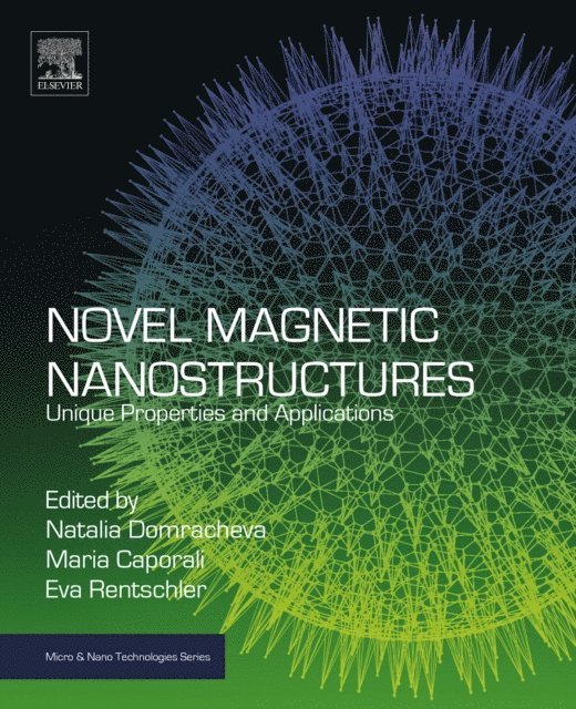 Eva Rentschler, Maria Caporali, Natalia Domracheva - Novel Magnetic Nanostructures, E-bok