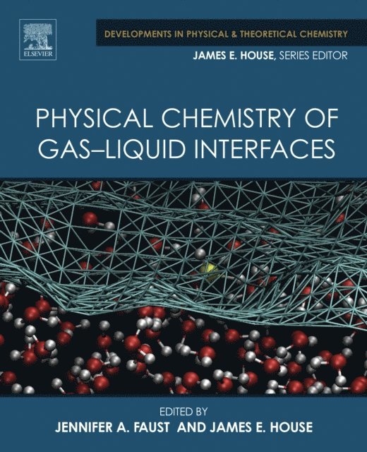 James E. House, Jennifer A. Faust - Physical Chemistry of Gas-Liquid Interfaces, E-bok