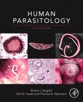 Burton J. Bogitsh, Clint E. Carter, Thomas N. Oeltmann - Human Parasitology, Inbunden. Tillgänglighet: Lägg i varukorg