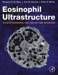 Eosinophil Ultrastructure