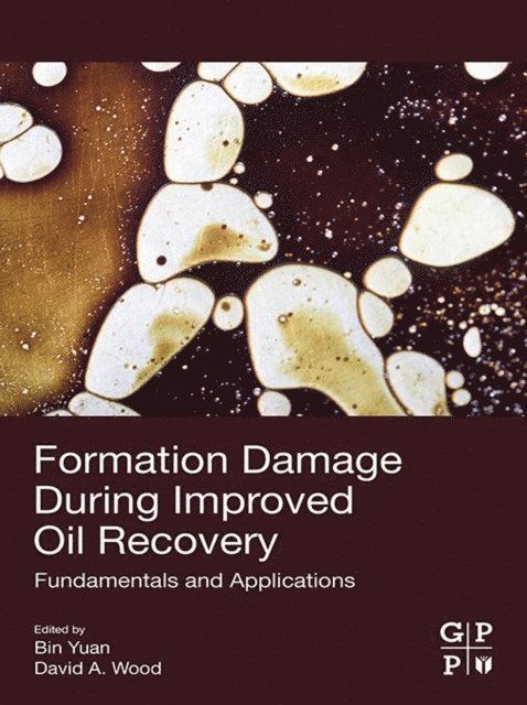 David A. Wood, Bin Yuan - Formation Damage during Improved Oil Recovery, E-bok