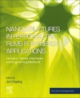 Jun Ouyang - Nanostructures in Ferroelectric Films for Energy Applications, Häftad