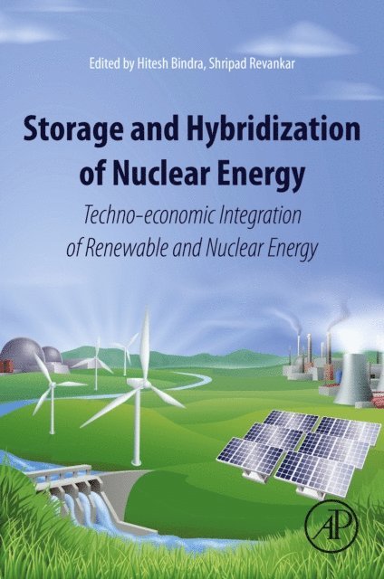 Shripad Revankar, Hitesh Bindra - Storage and Hybridization of Nuclear Energy, E-bok