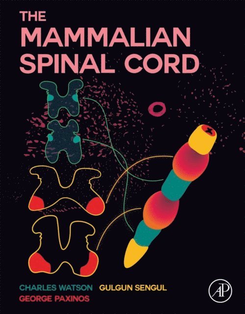 George Paxinos, Gulgun Sengul, Charles Watson - Mammalian Spinal Cord, E-bok