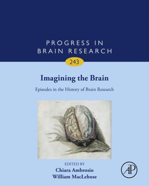 William Maclehose, Chiara Ambrosio - Imagining the Brain: Episodes in the History of Brain Research, E-bok