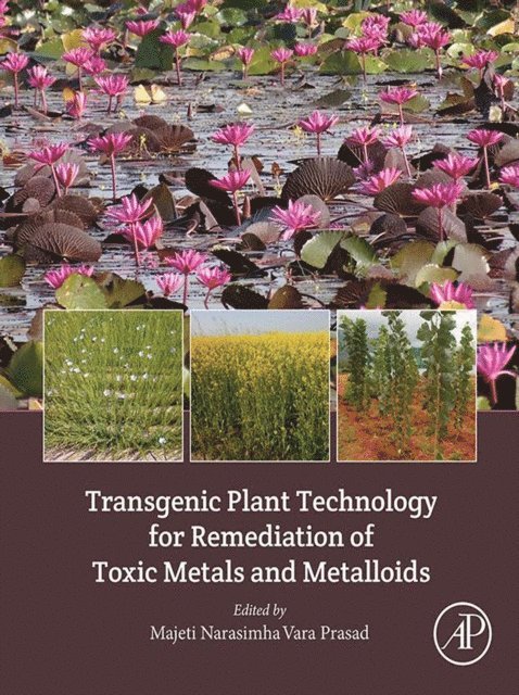 M.N.V. Prasad - Transgenic Plant Technology for Remediation of Toxic Metals and Metalloids, E-bok