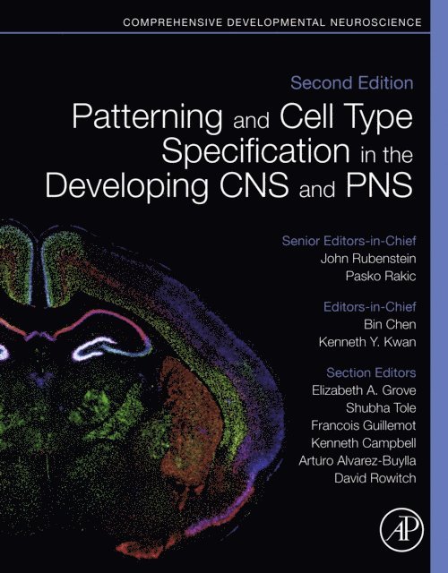 Kenneth Y. Kwan, Bin Chen - Patterning and Cell Type Specification in the Developing CNS and PNS, E-bok