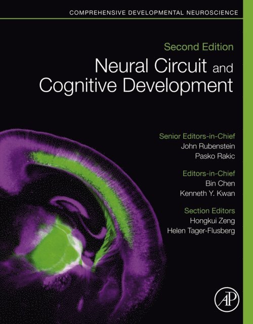 Kenneth Y. Kwan, Bin Chen - Neural Circuit and Cognitive Development, E-bok