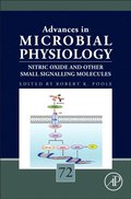 Nitric Oxide and Other Small Signalling Molecules