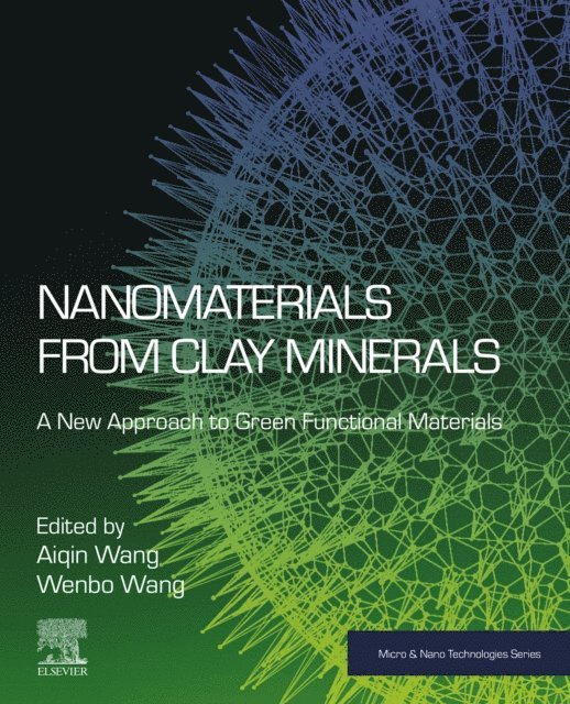 Wenbo Wang, Aiqin Wang - Nanomaterials from Clay Minerals, E-bok