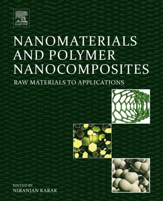 Niranjan Karak - Nanomaterials and Polymer Nanocomposites, E-bok