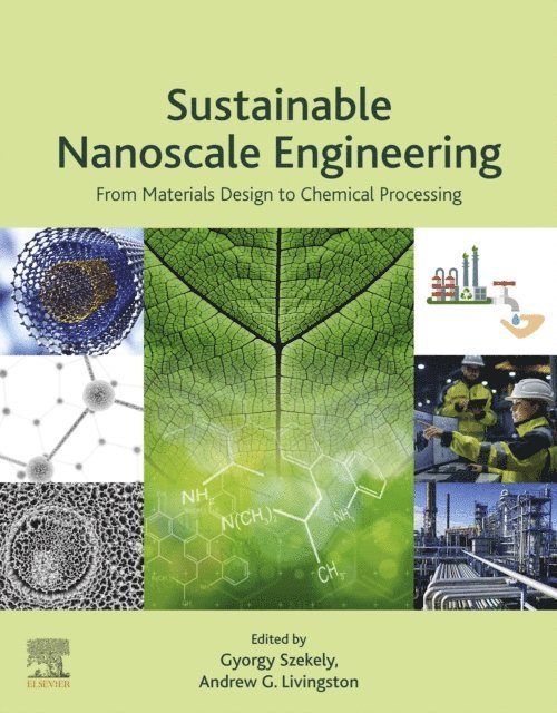Andrew G. Livingston, Gyorgy Szekely - Sustainable Nanoscale Engineering, E-bok
