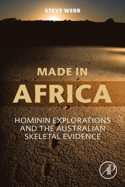 Steve Webb - Made in Africa, E-bok