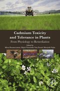 Cadmium Toxicity and Tolerance in Plants