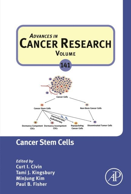 Cancer Stem Cells, E-bok