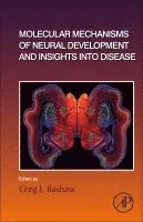 Molecular Mechanisms of Neural Development and Insights into Disease