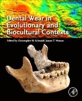 Dental Wear in Evolutionary and Biocultural Contexts