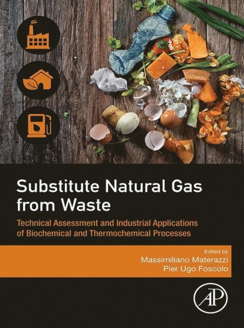 Pier Ugo Foscolo, Massimiliano Materazzi - Substitute Natural Gas from Waste, E-bok