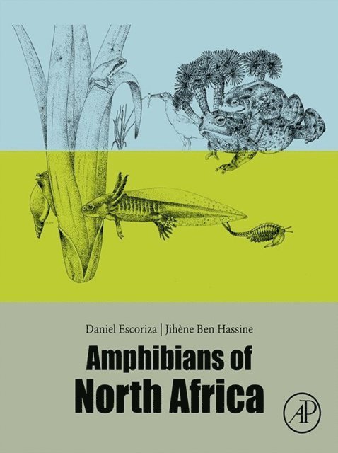 Jihene Ben Hassine, Daniel Escoriza - Amphibians of North Africa, E-bok