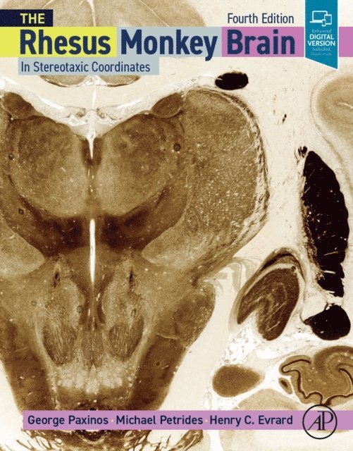 Henry C. Evrard, Michael Petrides, George Paxinos - Rhesus Monkey Brain in Stereotaxic Coordinates, E-bok
