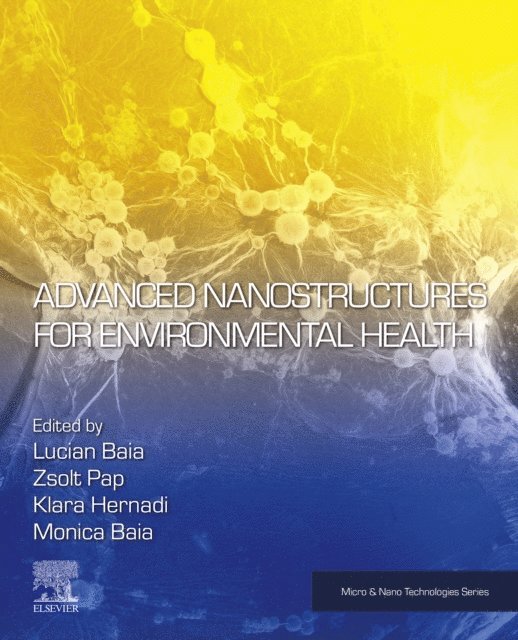 Monica Baia, Klara Hernadi, Zsolt Pap, Lucian Baia - Advanced Nanostructures for Environmental Health, E-bok
