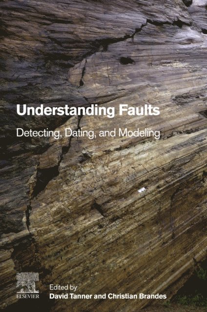 Christian Brandes, David Tanner - Understanding Faults, E-bok