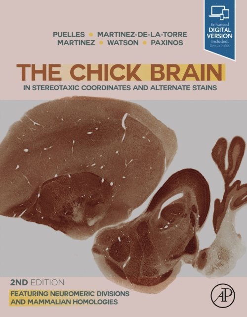 George Paxinos, Charles Watson, Salvador Martinez, Margaret Martinez-de-la-Torre, Luis Puelles - Chick Brain in Stereotaxic Coordinates and Alternate Stains, E-bok