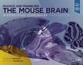 Paxinos and Franklin's the Mouse Brain in Stereotaxic Coordinates