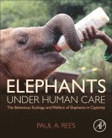 Paul A. Rees - Elephants Under Human Care, Häftad