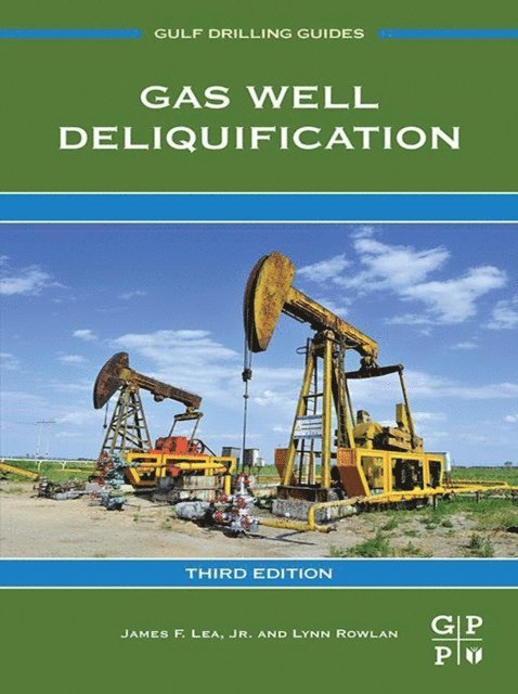 Lynn Rowlan, James F. Lea Jr. - Gas Well Deliquification, E-bok