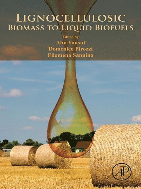 Domenico Pirozzi, Filomena Sannino, Abu Yousuf - Lignocellulosic Biomass to Liquid Biofuels, E-bok