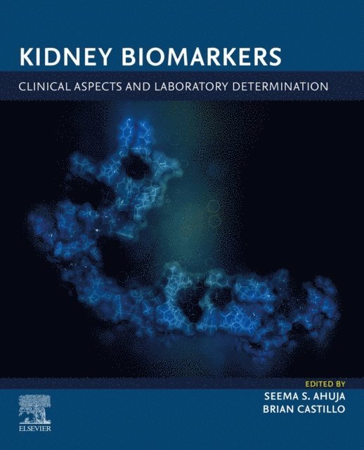 Brian Castillo, Seema S. Ahuja - Kidney Biomarkers, E-bok