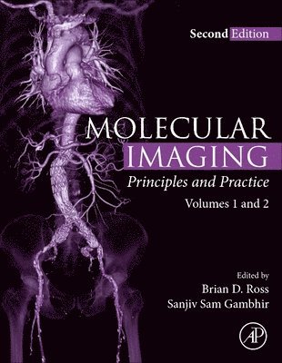 Molecular Imaging av Brian D Ross, Sanjiv S Gambhir