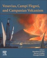 Benedetto De Vivo, Harvey E. Belkin, Giuseppe Rolandi - Vesuvius, Campi Flegrei, and Campanian Volcanism, Häftad