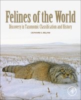 Giovanni G. Bellani - Felines of the World, Häftad. Tillgänglighet: Lägg i varukorg