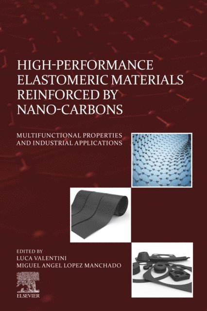 Miguel Angel Lopez Manchado, Luca Valentini - High-Performance Elastomeric Materials Reinforced by Nano-Carbons, E-bok